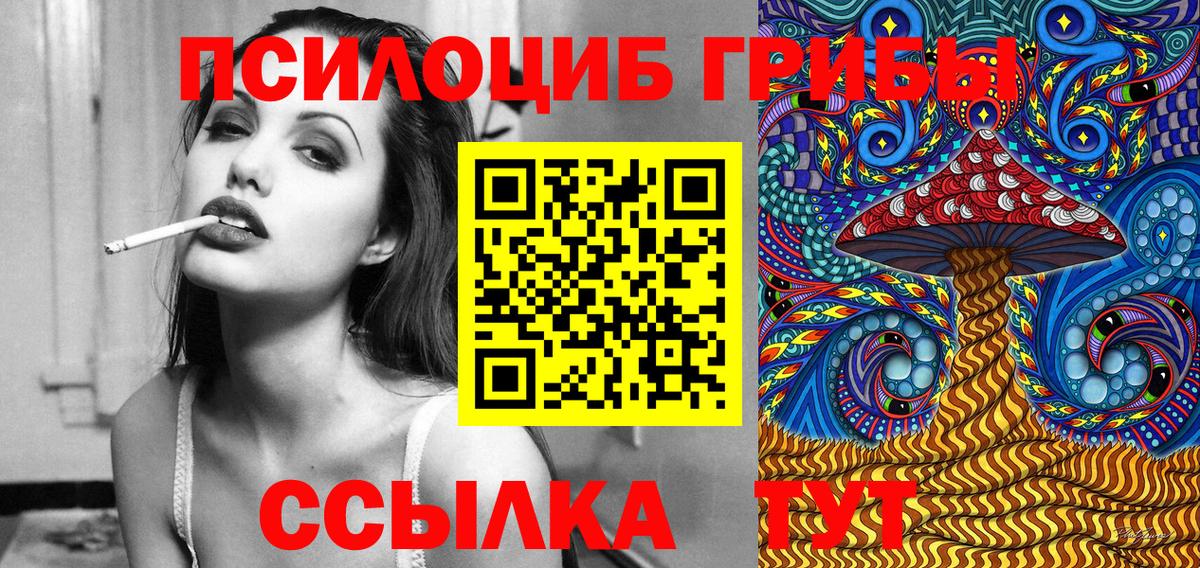 Галлюциногенные грибы Psilocybe Елец