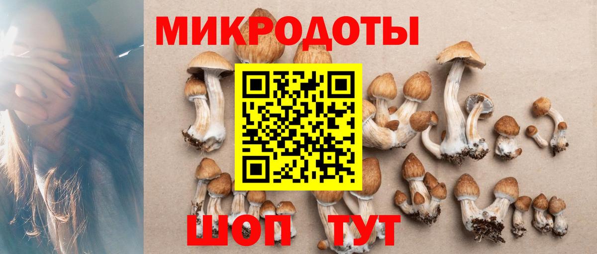 Елец  закладки  Вход с VPN  Псилоцибиновые грибы Magic Shrooms 